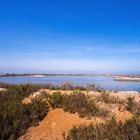 Salinas Lejlighed San Miguel De Salinas